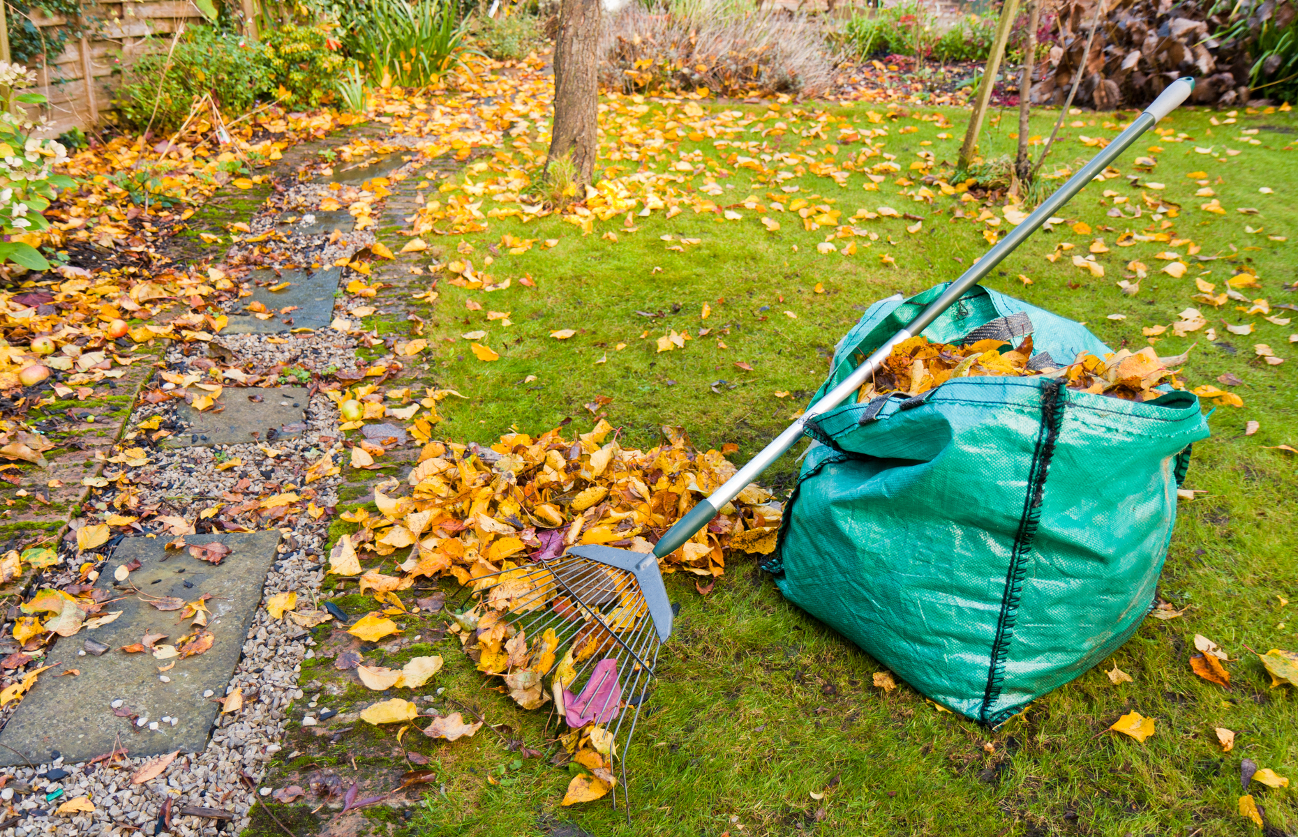 Bolsas multiusos para residuos de jardín y hojas secas.